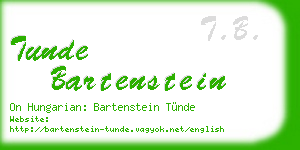 tunde bartenstein business card